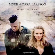 Обложка: Mnek vs. Zara Larsson - Never Forget You (Stefiibeats Remix)