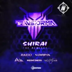 Обложка: Transforma - Shirai (Raido Remix)
