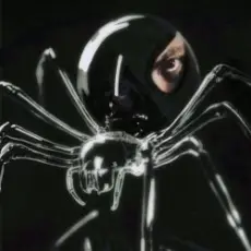 Обложка: Dubinin - Чёрная вдова