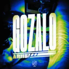 Обложка: Ariis - Gozalo (Slowed)