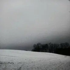 Обложка: Гошуля – Зимую