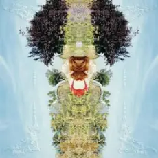 Обложка: Pei-Yu Hung – Scatter