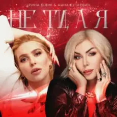 Обложка: Ірина Білик & Анна Буткевич - Не ти, а я