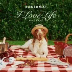 Обложка: Bakermat & Rani - I Love Life