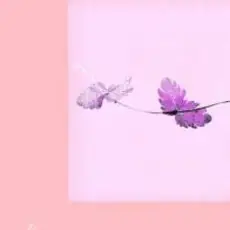 Обложка: Alina Orlova - Einu