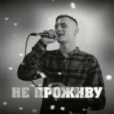 Обложка: KRABIK - Не проживу