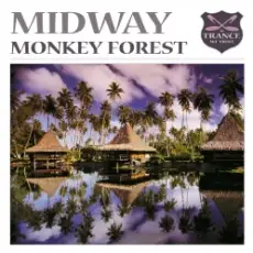 Обложка: Midway - Monkey Forest
