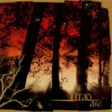 Обложка: Тiтло - Ручьи