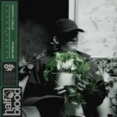 Обложка: Skybreak - STREET GARDEN