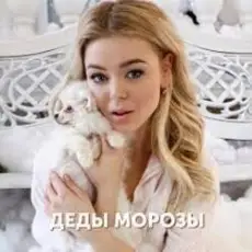 Обложка: Алина Гросу – Деды морозы