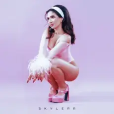 Обложка: SKYLERR – Лід-вогонь (KARMV REMIX)