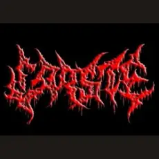 Обложка: Carste - Capital War