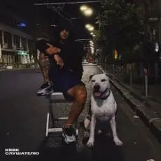 Обложка: KRBK - Слушателю