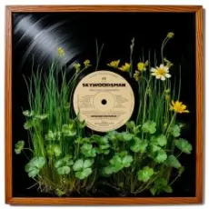 Обложка: Skywoodsman - Душица-Чистотел