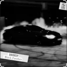 Обложка: DavDeep - Black Panther
