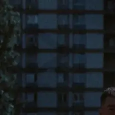 Обложка: plenka - Afterglow