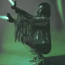 Обложка: Стереополина - Ночной гость