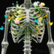 Обложка: Райчу & Golubenko - Сигнали