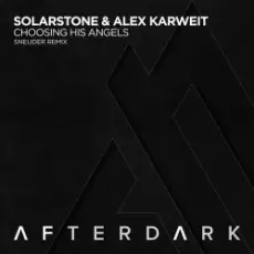 Обложка: Solarstone and Alex Karweit - Choosing his angels (Sneijder remix)