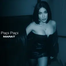 Обложка: Dj Marat – SILK