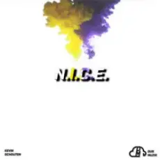 Обложка: Kevin Schouten – N.I.C.E.