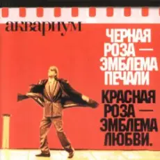 Обложка: Аквариум - Лой быканах