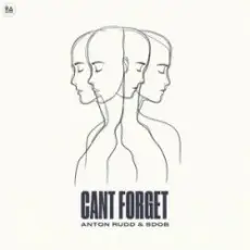 Обложка: Anton Rudd & Sdob - Cant Forget