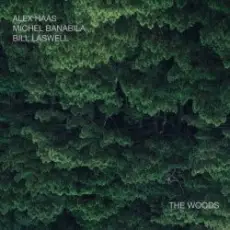 Обложка: Bill Laswell - Outer Woo