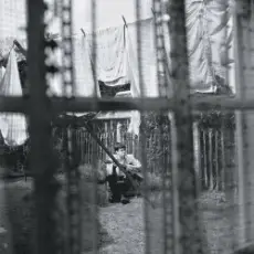 Обложка: Paul McCartney - English Tea