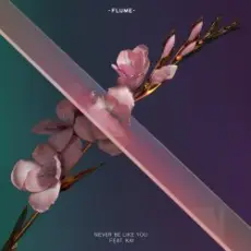 Обложка: Flume - Never Be Like You (Feat. Kai)