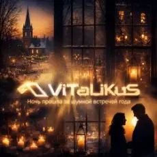 Обложка: ViTaLiKuS – Ночь прошла за шумной встречей года