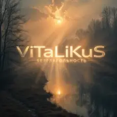 Обложка: ViTaLiKuS - Безглагольность