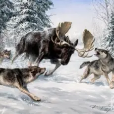 Обложка: НАШЕСТВИЕ ЛЕГЕНД & Олег Стебловский - Волки - Эпическая Баллада