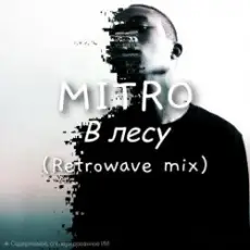 Обложка: MITRO - MITRO - В Лесу (Retrowave mix)
