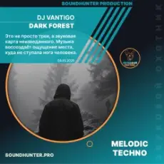 Обложка: DJ VANTIGO - Dark Forest