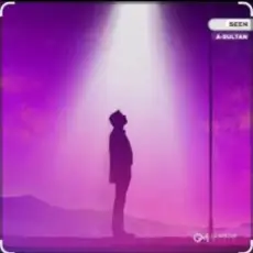 Обложка: A-Sultan - Seen