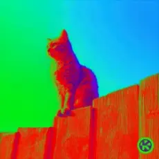 Обложка: Hagen Feetly - Curiosity