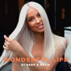 Обложка: Dj Dark & Katie - Wonderful Life