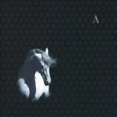 Обложка: Аквариум - Лошадь Белая