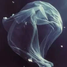 Обложка: МʼЯТА & ХАС - Біла вуаль