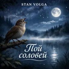 Обложка: Stan Volga - Пой соловей