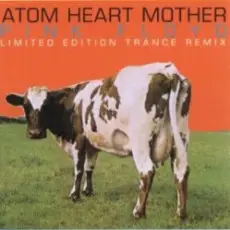 Обложка: Pink Floyd & The Orb – Atom Heart Mother