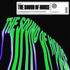 Обложка: HÄWK, Azooland - The Sound Of House (Extended Mix)