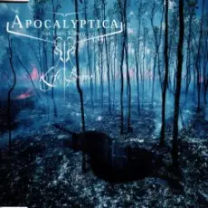 Обложка: Apocalyptica Feat. Lauri Ylönen - Life Burns