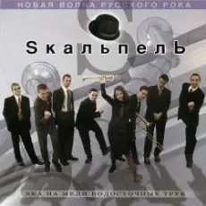 Обложка: Skaльпель - Праздник