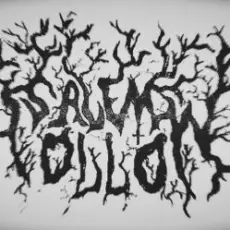 Обложка: Salem - Hollow