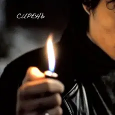 Обложка: НейроХит – Сирень (Radio Edit)