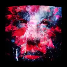 Обложка: PNAU & MEDUZA – Rollin