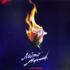 Обложка: Саша Чемеров - Місто Наречених