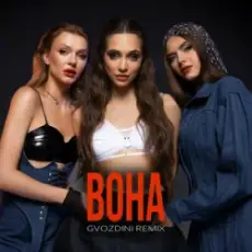 Обложка: Mirami - Вона (Gvozdini Remix)